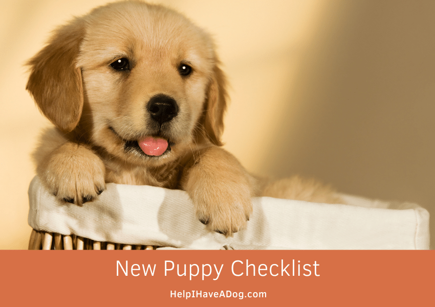 Featured image for a page about a new puppy checklist.